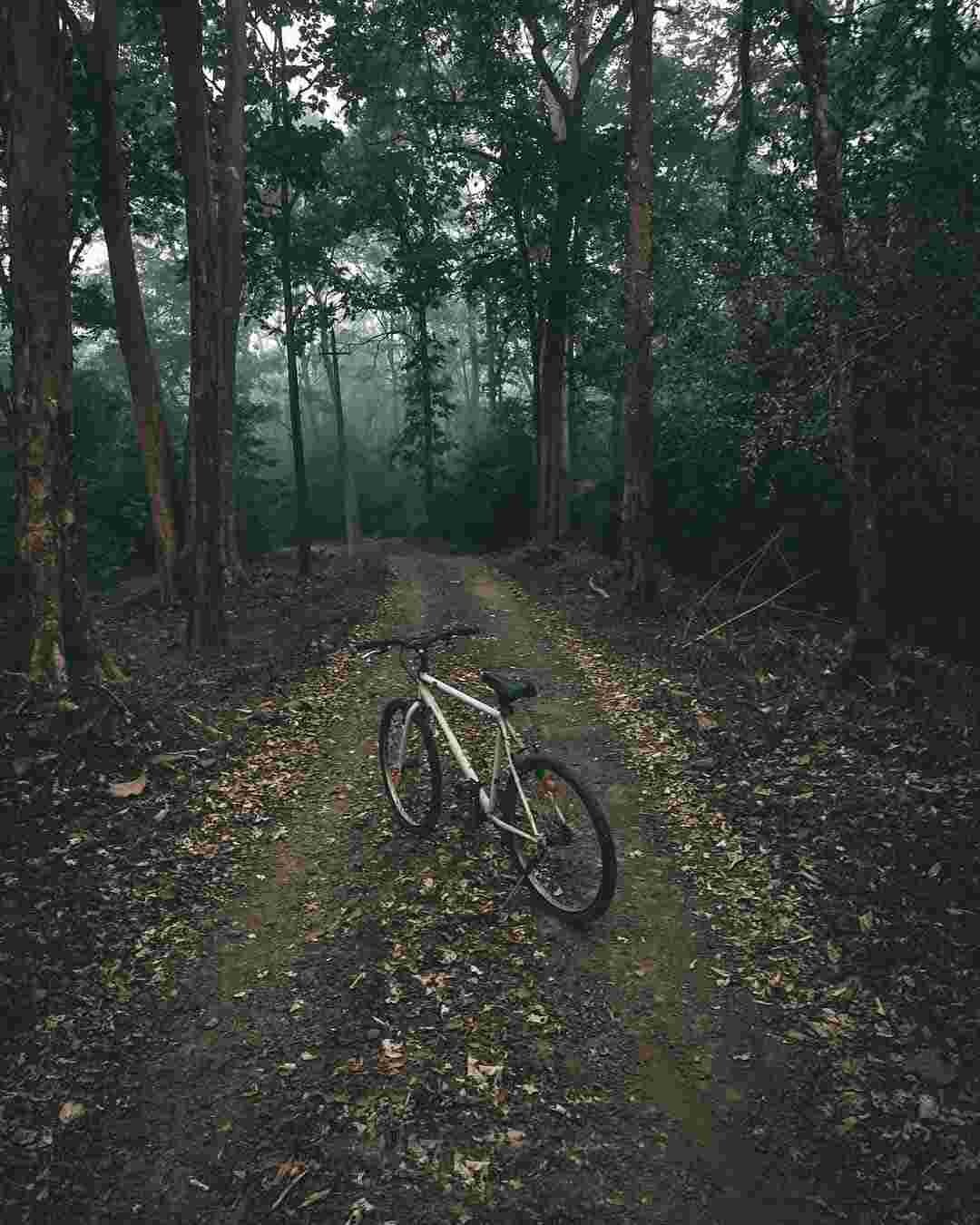 cycling packages in resorts of dandeli Cycling